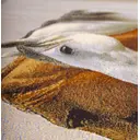 Ковер Erdenet Hunnu S 6S1186 82 100x150 см шерсть лошади головы