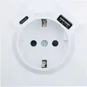Розетка TC и USB встраиваемая Lezard Zima с заземлением цвет белый