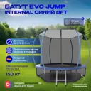 Батут с защитной сеткой Evo Jump Internal синий 244x210 см