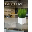 Осока в деревянном ящике Подар.Ок Home белый 9x9x9 см