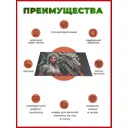 Ковер Кайраккум картина 141PA/71 80x150 см полиамид