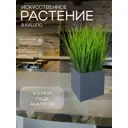 Осока в деревянном ящике Подар.Ок Home графит 9x9x9см