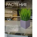 Осока в деревянном ящике Подар.Ок Home пудра 9x9x9 см