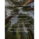 Тумба под телевизор Puzzlemebel Алессио 150x30x27 см ЛДСП цвет бежевый