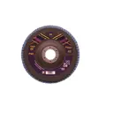 Круг лепестковый торцевой КЛТ2 RCI 00-00001937 P40 125x22.2, 10 шт