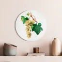 Круглая картина на стекле Postermarket "Виноградная лоза" d 40см