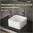 Раковина накладная Teymi Helmi Mini 24 T50303 24см