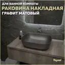Раковина накладная Teymi Solli T50391 49см цвет серый