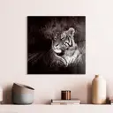 Картина без рамки Postermarket Тигр 30x30 см