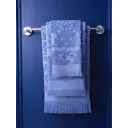 Полотенце Arya home 8680943041081 для ванной 100x150 см голубой