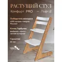 Растущий стул для детей и школьников Конек Горбунек Комфорт цвет лофт-2