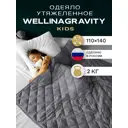 Одеяло Wellinagravity WGS-11 2 кг 140x110 см полиэфирное волокно