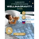 Утяжеленное сенсорное одеяло Wellinagravity 110x140 голубое 4кг WGS-11