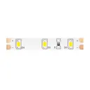 Светодиодная лента MAYTONI Led strip 10103 SMD 2835 60 диод/4.80 Вт/м 12 В IP20 5 м нейтральный белый свет