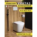 Унитаз подвесной Watersense Rita безободковый быстросъемное сиденье микролифт