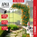 Садовая арка Лофт-комплект GA6018 1.5 м x 0.6 м x 2.5 м сталь