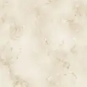 Обои виниловые Aura Silks & Textures бежевые 0.53 м NT33757