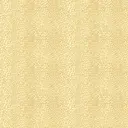 Обои виниловые York Wallcoverings Honey Bunny бежевые 0.53 м SM8658YK
