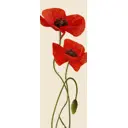 Фотообои Divino Decor Маки C-289 100x270 см