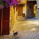 Фотообои Divino Decor Кошка A-069 100x270 см