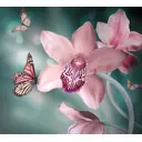 Фотообои Divino Decor Бабочки A-030 300x270 см