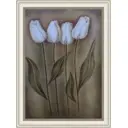 Картина в раме 56338 50x70 см Белые тюльпаны