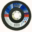 Круг лепестковый торцевой КЛТ2 Pureva Р40 125x22.2 мм
