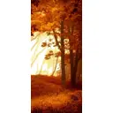 Наклейка для дверей и мебели Wallfix "Осень в лесу" 95x220 см, W178