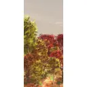 Наклейка для дверей и мебели Wallfix "Осенние деревья" 95x220 см, W243