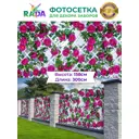 Фотосетка Рада для декора заборов Пионы на белой шпалере 158x300 см