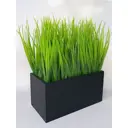 Осока в деревянном ящике Подар.Ок Home черный 9x9x18 см