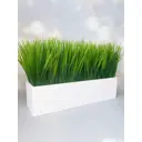 Осока в деревянном ящике Подар.Ок Home белый 9x9x35 см