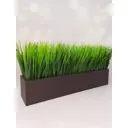 Осока в деревянном ящике Подар.Ок Home шоколад 9x9x45 см