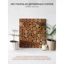 Картина из спилов березы Симфония ЭП-01-01 40x36 см