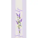 Штора рулонная Divino мини MRB-0074 ткань лён размер 47, 43x170