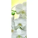 Штора рулонная Divino мини MRB-0211 -1 ткань лён размер 52, 48x170