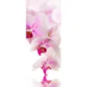 Штора рулонная Divino мини MRB-0214 -3 ткань лён размер 61, 57x170