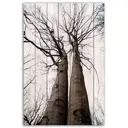 Картина Дом Корлеоне Два дерева 60x90 см