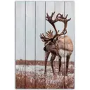Картина Дом Корлеоне Северный олень 60x90 см