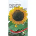 Семена АО Сспп Сортсемовощ Подсолнечник Бузулук, Апрель Полутень/солнце