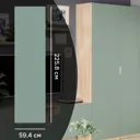Дверь для шкафа Лион София грин 59.4x225.8x1.8 см ЛДСП цвет зеленый