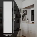 Дверь глухая для шкафа Лион Реймс 59.4x225.8x1.6 см ЛДСП цвет белый