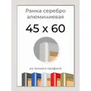 Рамка Первое ателье Niel-2sm-45x60 45x60 см металл и пластик