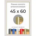 Рамка Первое ателье Niel-2gm-45x60 45x60 см металл и пластик