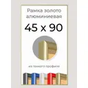 Рамка Первое ателье Niel-2gm-45x90 45x90 см металл и пластик