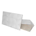 Керамическая плитка Gracia ceramica 30x50_gloss 10100001403 30x50см 1.2 м² цвет белый с 3д эффектом, цена за упаковку