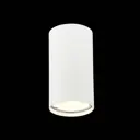 Светильник точечный накладной St Luce St110 GU10 цвет белый