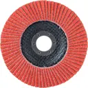 Круг лепестковый торцевой КЛТ1 Abraforce AFRD125CR08058F P80 125x22.2 мм, 10 шт