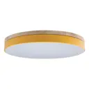 Светильник настенно-потолочный светодиодный Loft It LF_10001_36_Yellow Axel 7.8 м² нейтральный белый свет цвет жёлтый/золотой