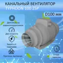 Вентилятор канальный осевой Typhoon D100 мм 31 дБ 250 м³/ч цвет серый